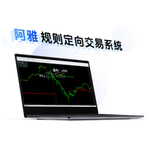 阿雅规则定向交易系统